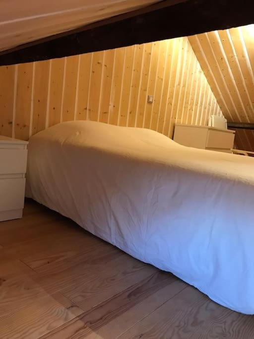 Studio 30M2 Centre De Cusset Zewnętrze zdjęcie