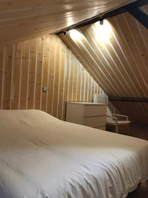 Studio 30M2 Centre De Cusset Zewnętrze zdjęcie